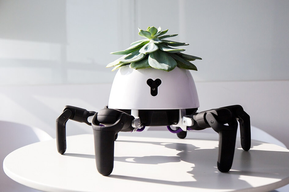 Robot podobný Bulbasaurovi z pokémonů zajistí dostatek vody i slunce pro pokojové rostliny